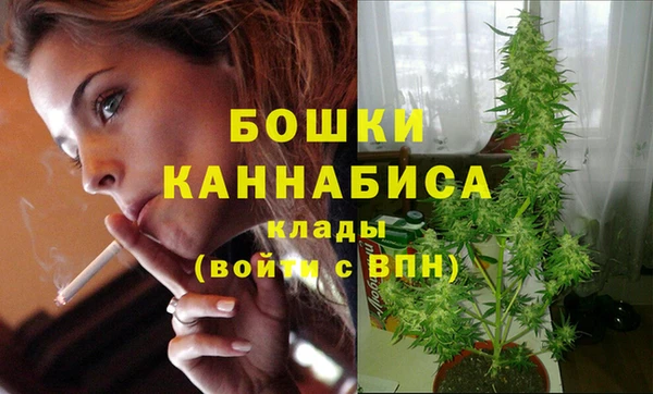соль ск Мегион