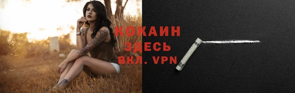 соль ск Мегион