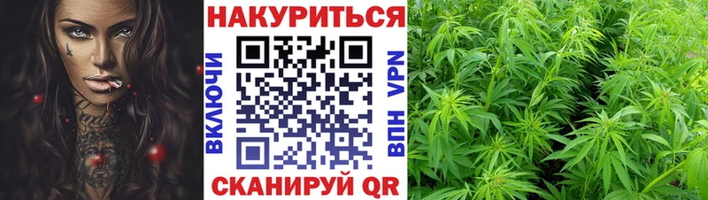 Конопля SATIVA & INDICA  Малоархангельск 